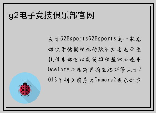 g2电子竞技俱乐部官网